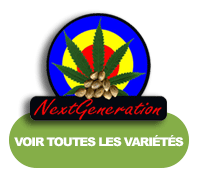 Next Generation Seed Company